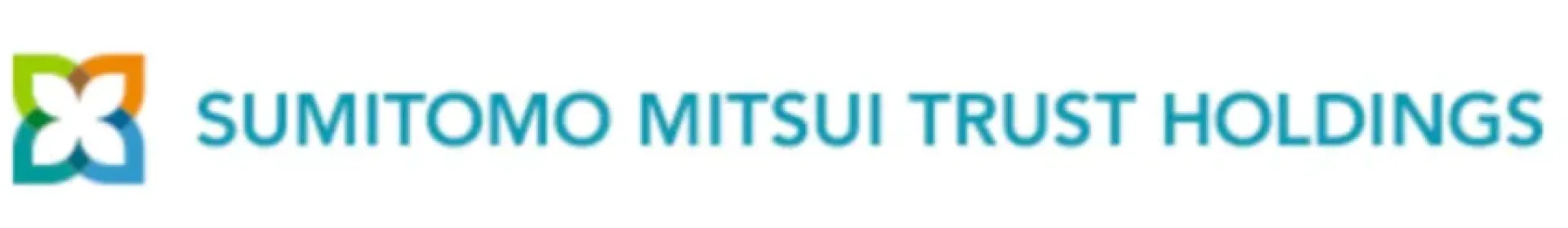 Logo for the SMTIL holding group